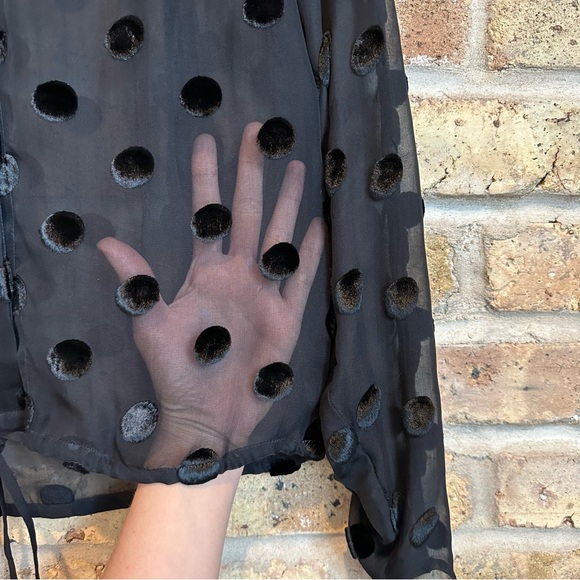 J. Crew Sheer Black Top w/ Velvet Polka Dots & Ruched Sleeves - Picture 3 of 8